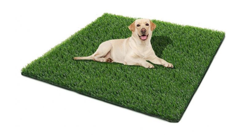 Factors to Consider When Choosing a Dog Grass Pad
