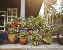 10 Beautiful Planters That Will Transform Your Outdoor Space on the Balcony