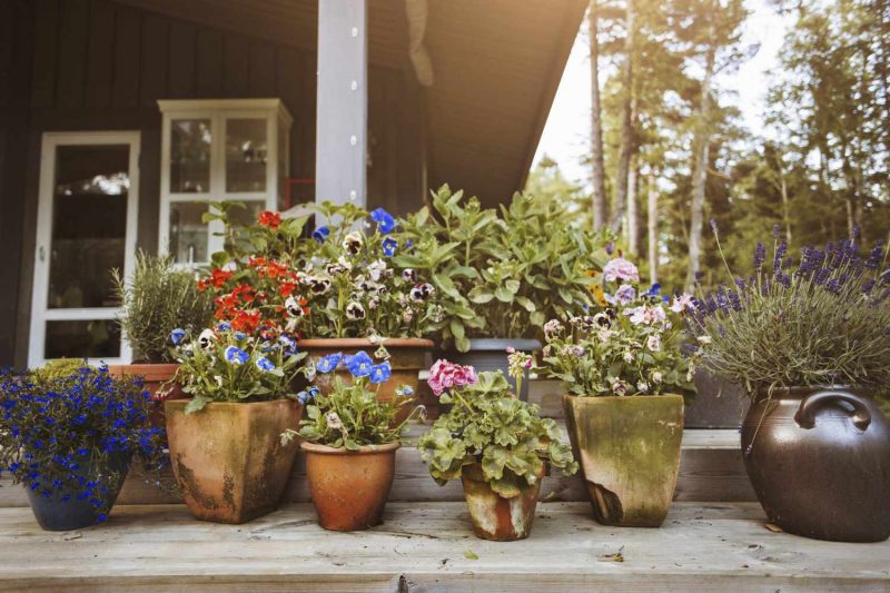 10 Beautiful Planters For Your Balcony: Transform Your Outdoor Space