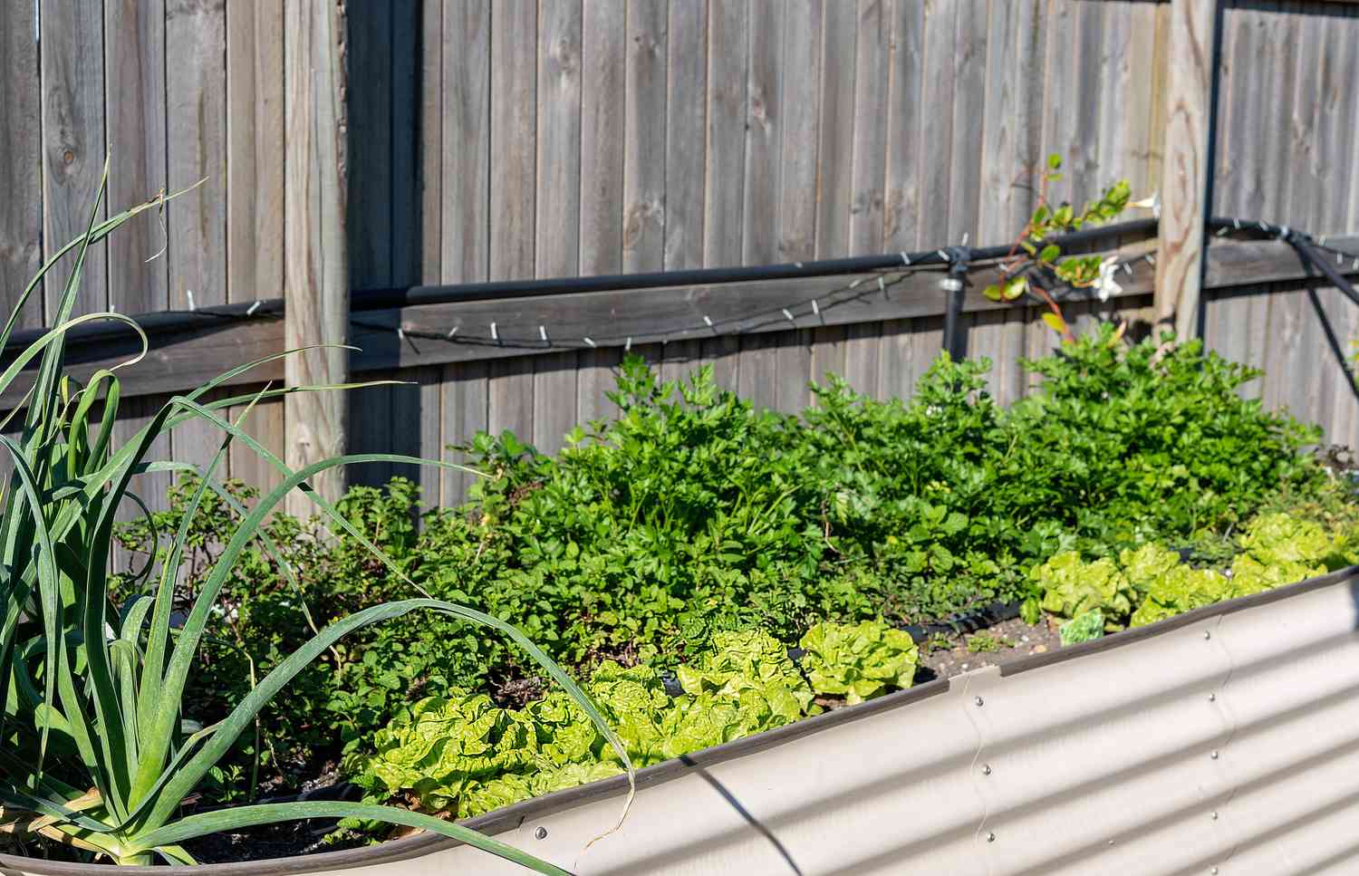 Elevated planting boxes