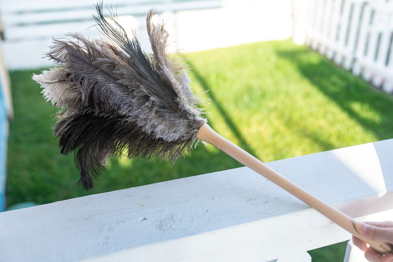 A feather duster was shaken outdoors to release the dirt.