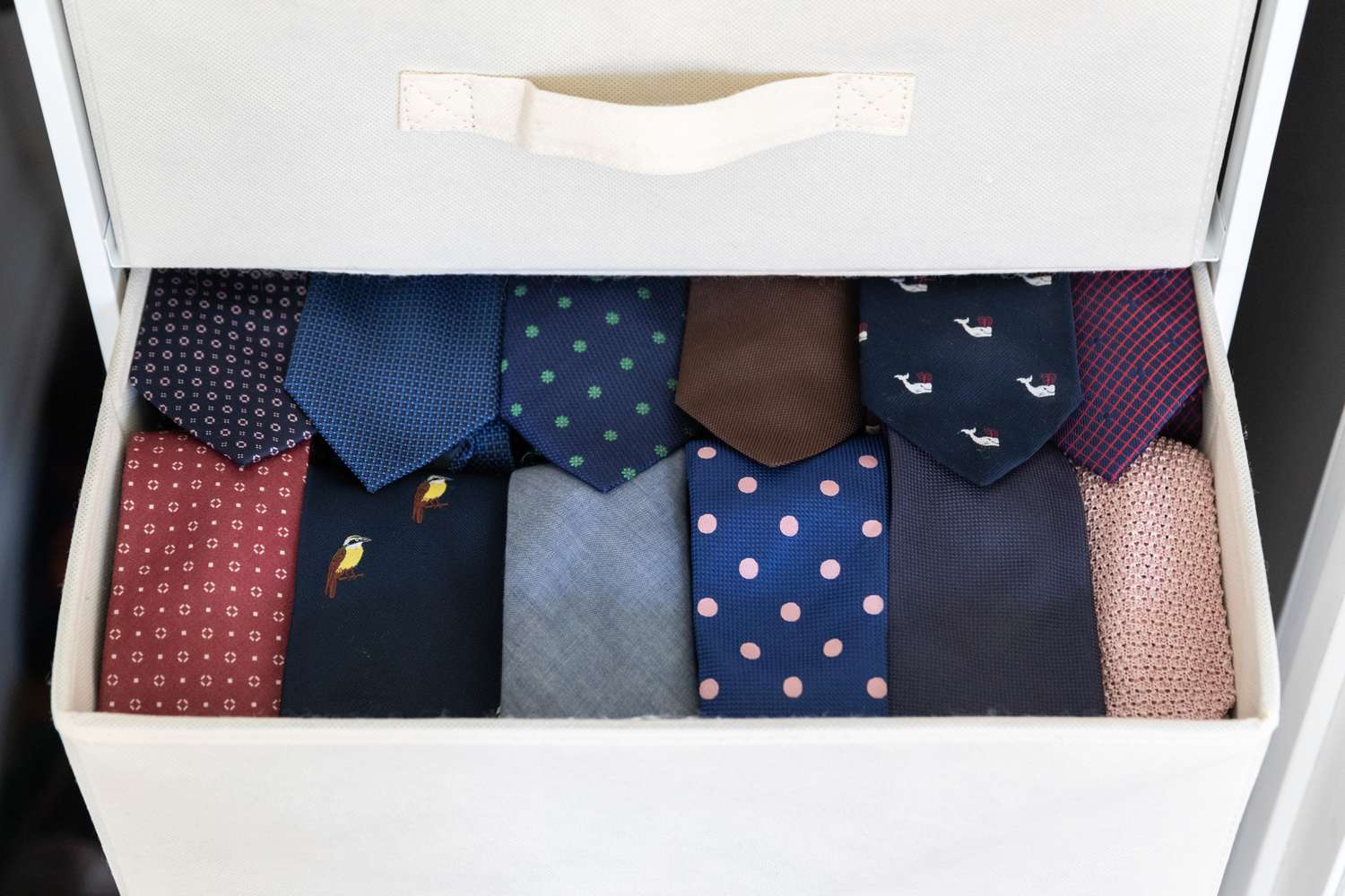 Neckties neatly rolled and kept in a white drawer.