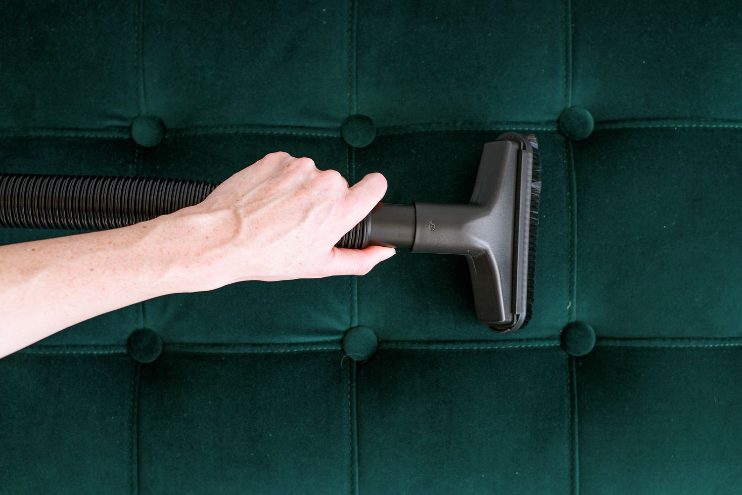 Vacuuming furniture upholstered in green velvet.