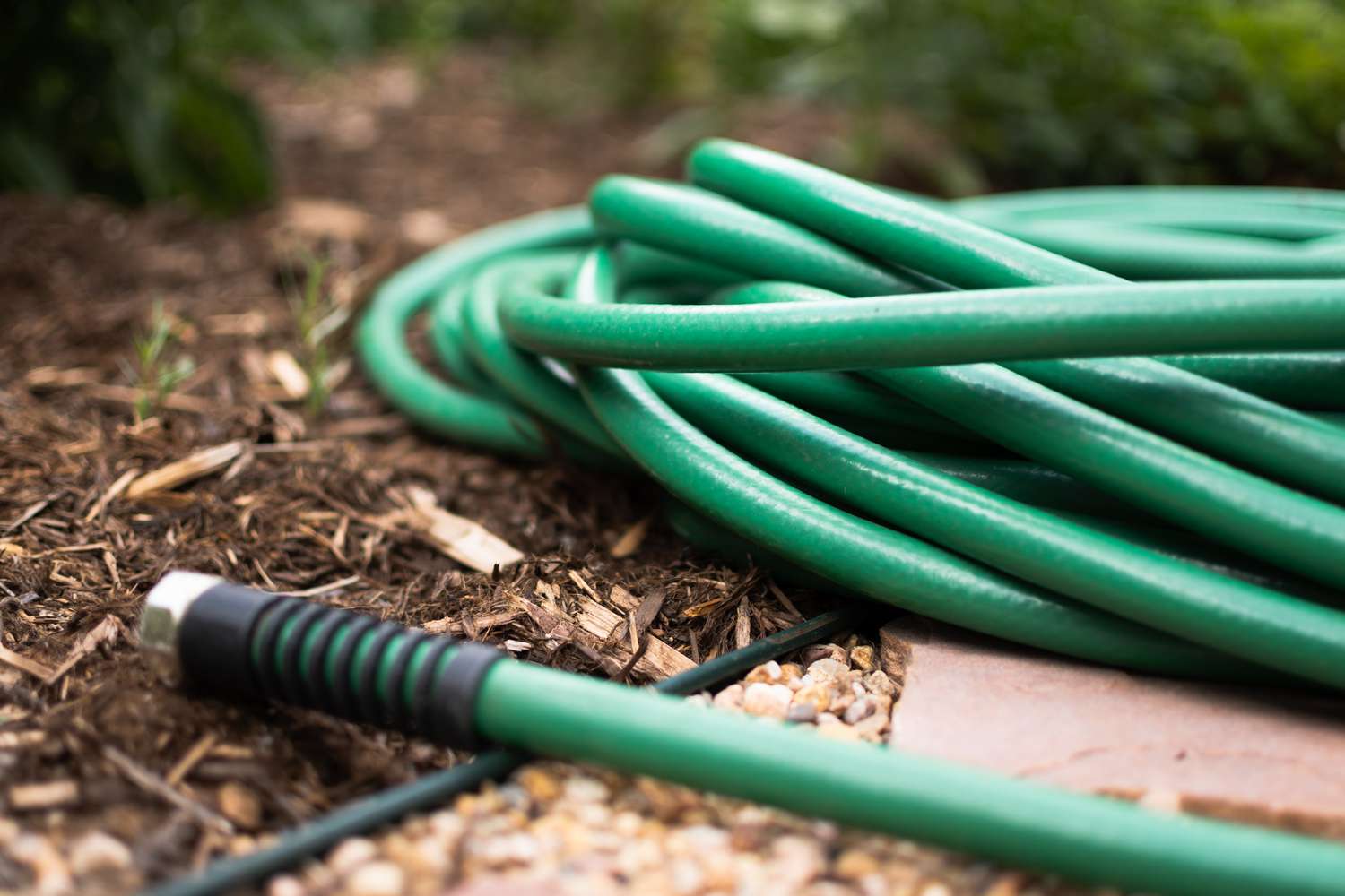 A green garden hose resting on the ground outside.