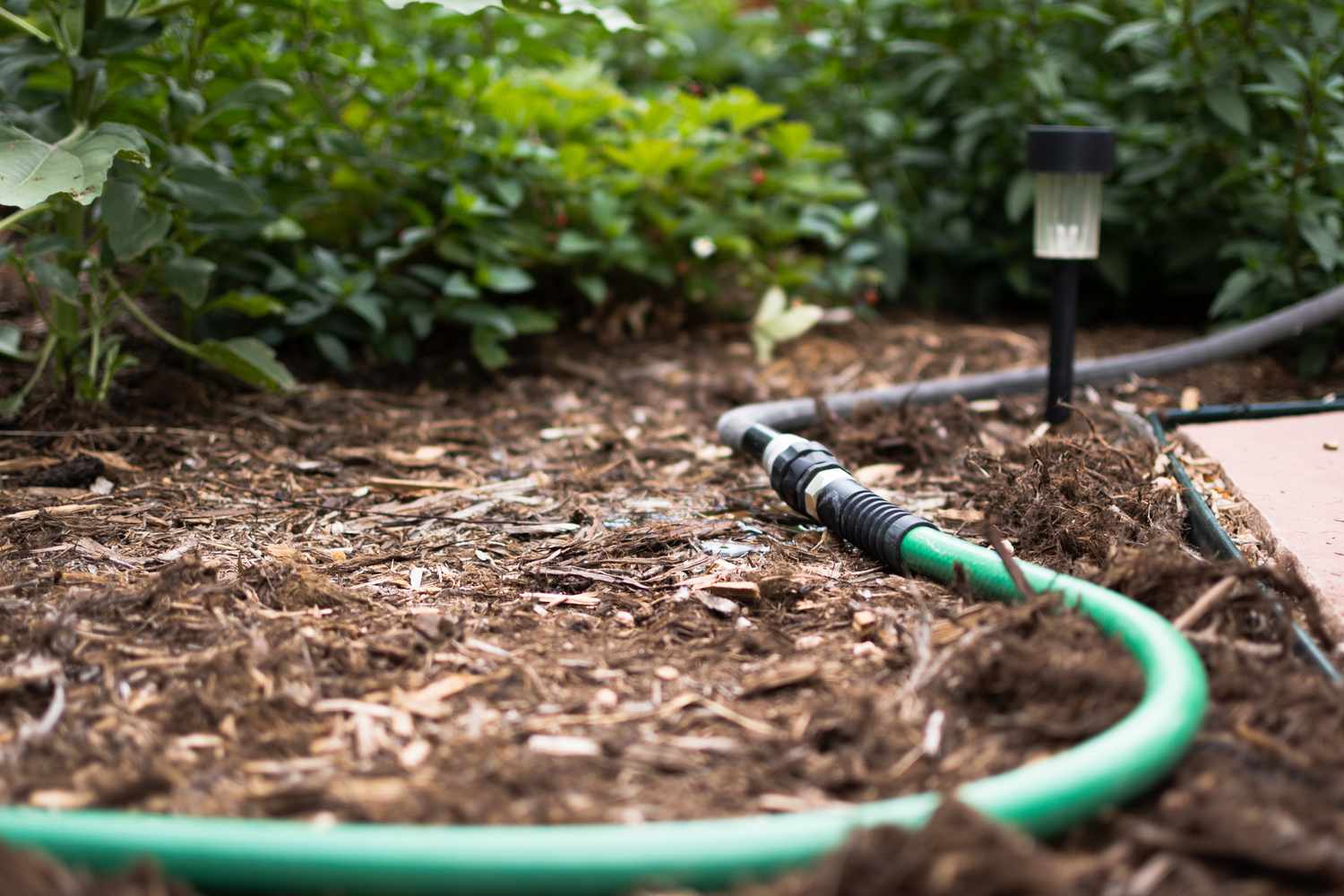 A green soaker hose connected to the free end of a garden hose.