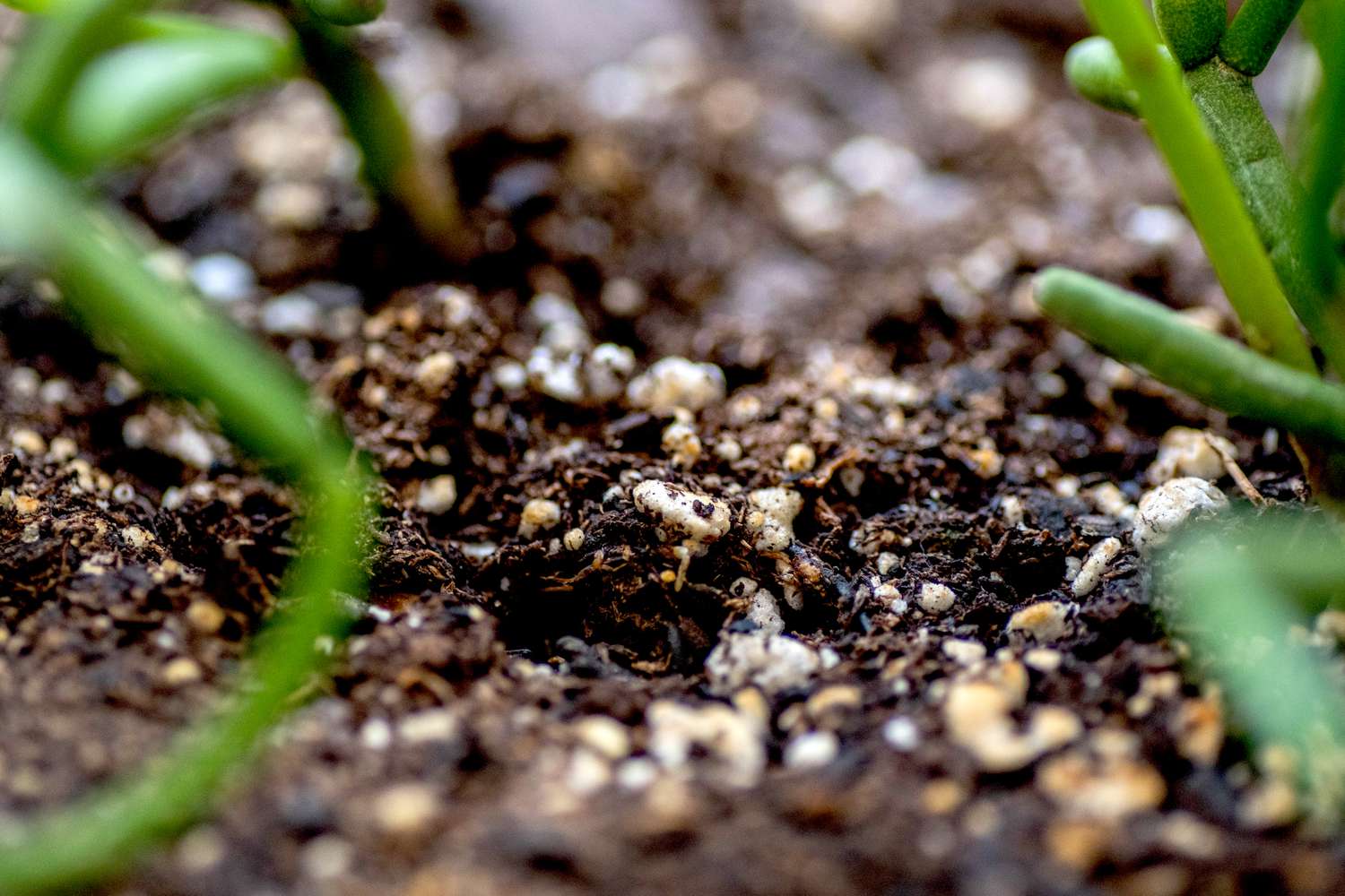 Close-up of potting soil for indoor gardening.