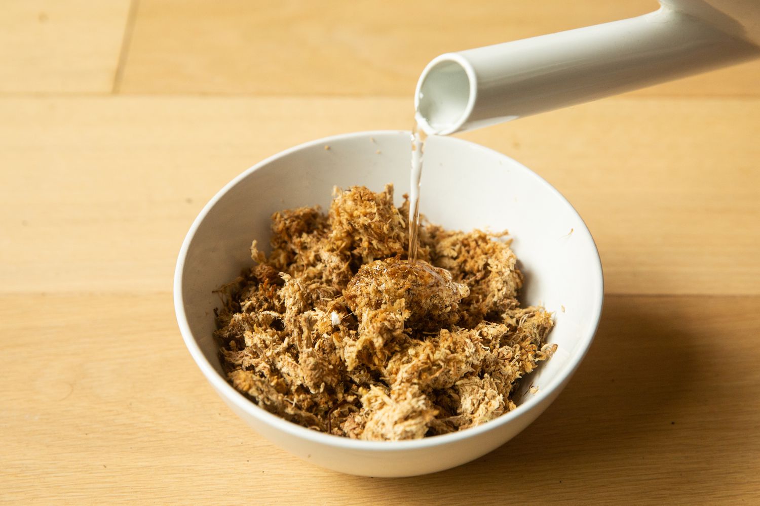 Drenching a bowl filled with sphagnum moss with water.