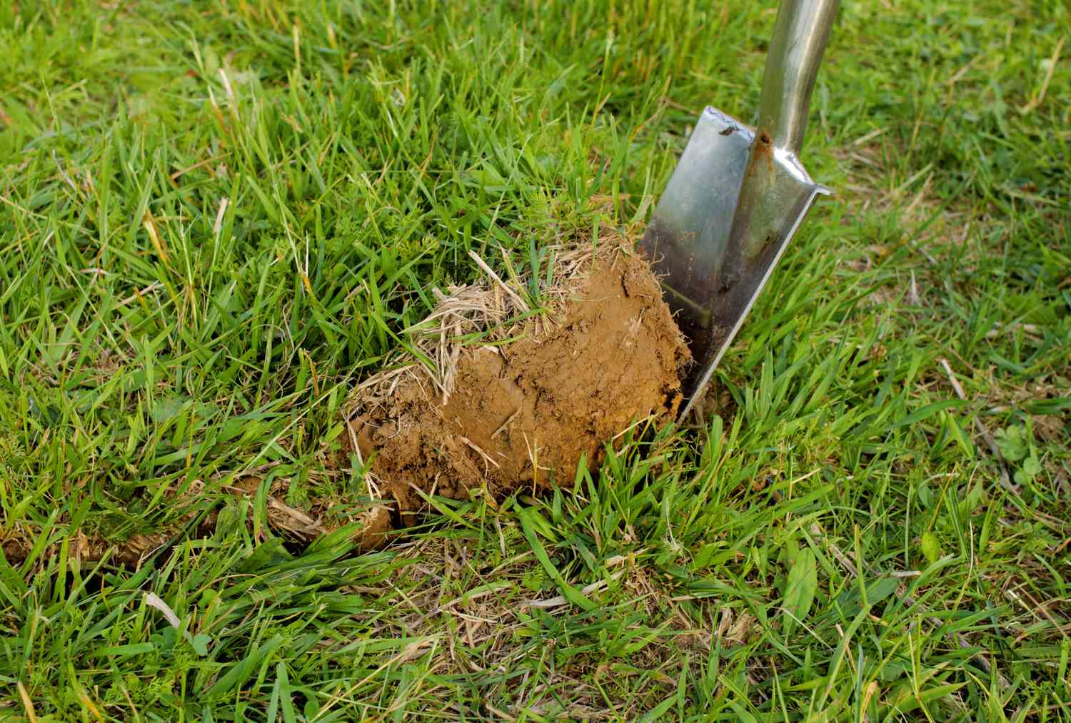 Leaning the grass to the side using a shovel.