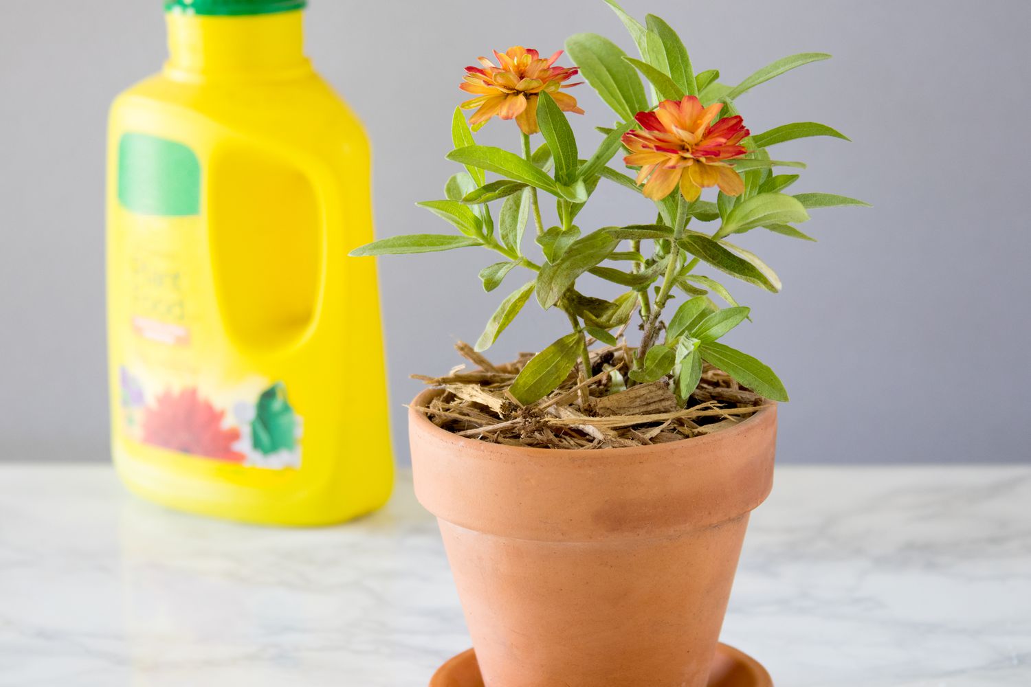 A yellow fertilizer container positioned behind potted plants.